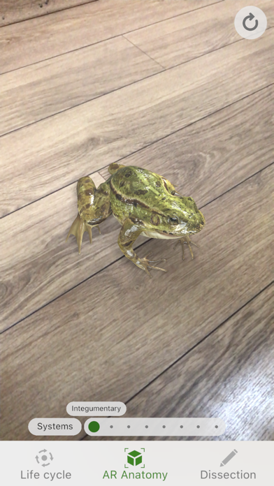 ภาพหน้าจอของ Froggipedia by Embibe