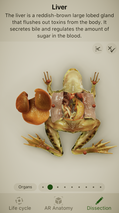 ภาพหน้าจอของ Froggipedia by Embibe