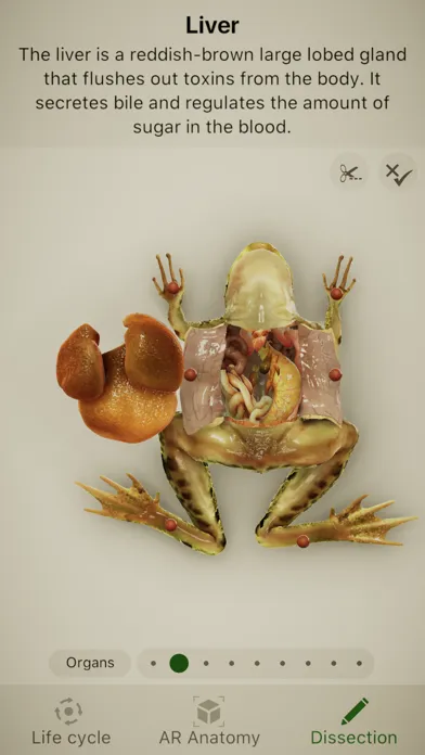 Ảnh chụp màn hình của Froggipedia by Embibe