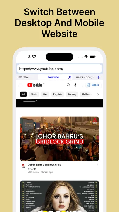 Desktop Browser™应用截图