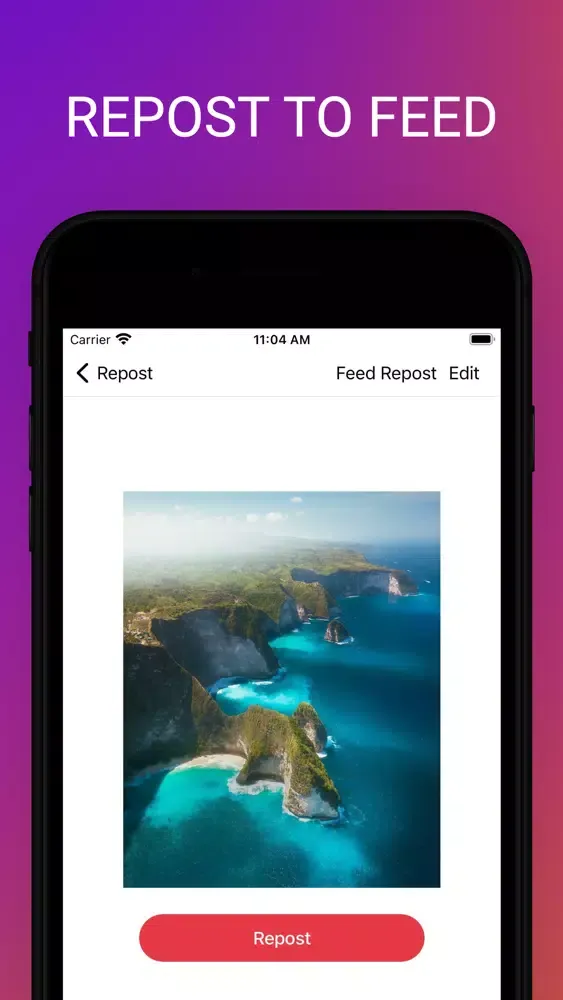 Capturas de tela do Stories Reposter for Instagram