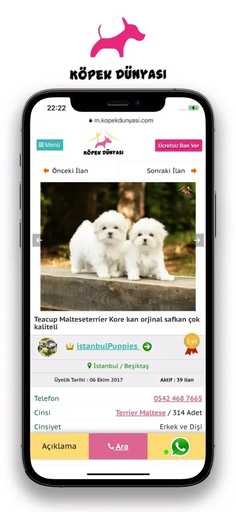 KÖPEK DÜNYASI Screenshots