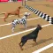 Dog Race Game: Dog Racing 3D