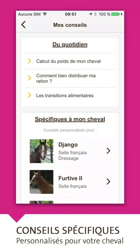 Скриншоты Bien nourrir son cheval - Destrier