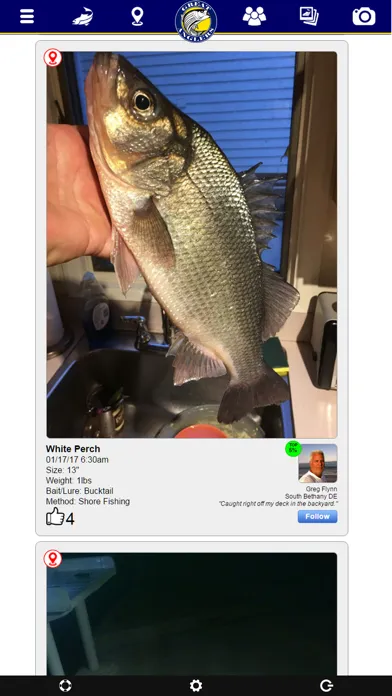 Скриншоты Great Anglers