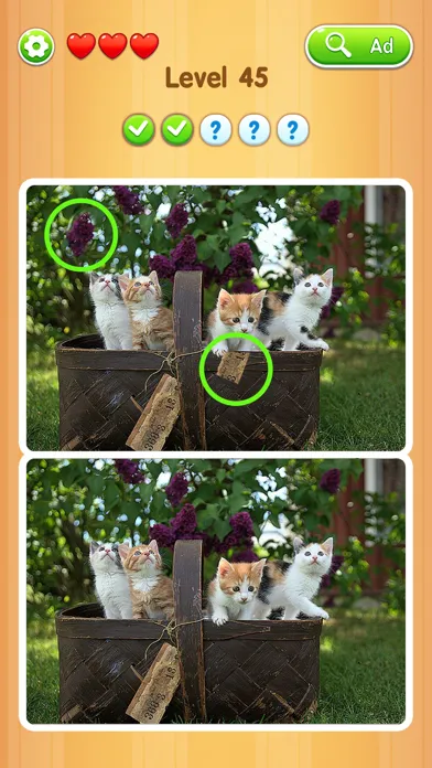 ภาพหน้าจอของ Detect It Picture Puzzle