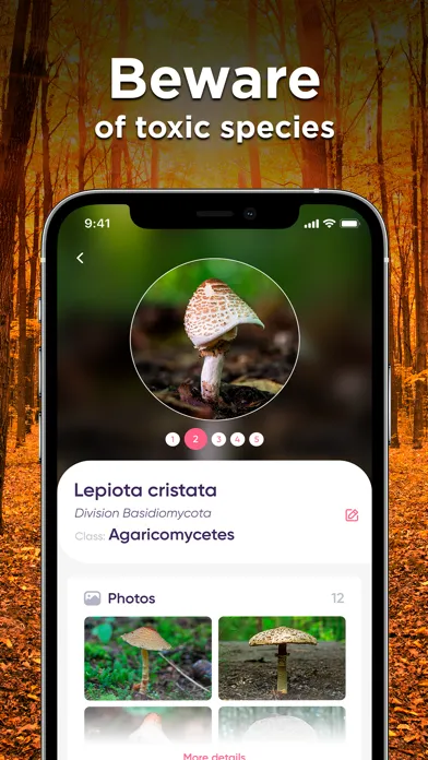 Mushroom ID: Fungus Identifier应用截图
