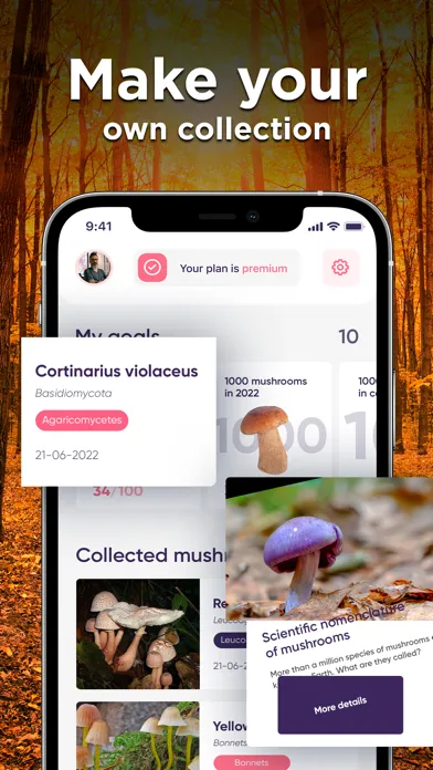 Mushroom ID: Fungus Identifier应用截图