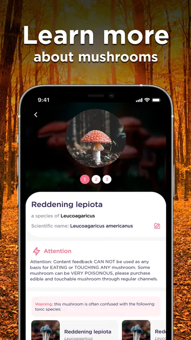 Mushroom ID: Fungus Identifier应用截图