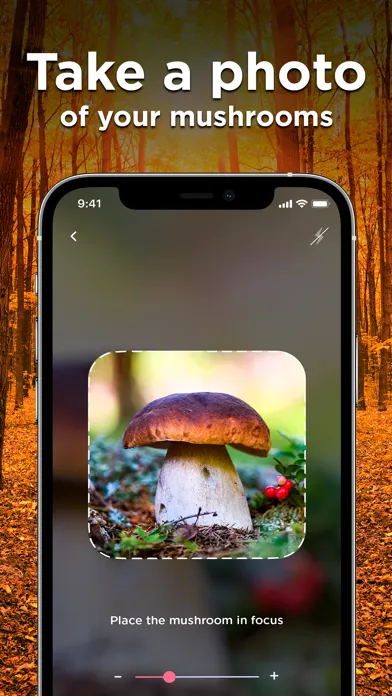 Mushroom ID: Fungus Identifier应用截图