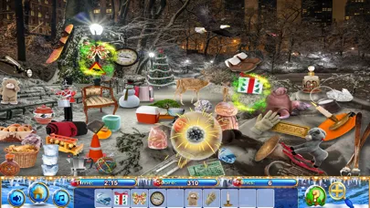 Ảnh chụp màn hình của Hidden Objects New York Winter