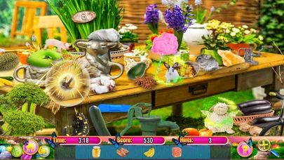 Capturas de pantalla de Spring Gardens Hidden Objects