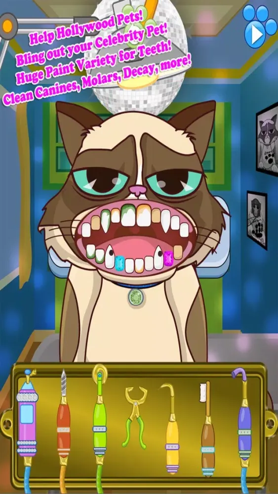 Celebrity Dentist Pets Doctor應用截圖