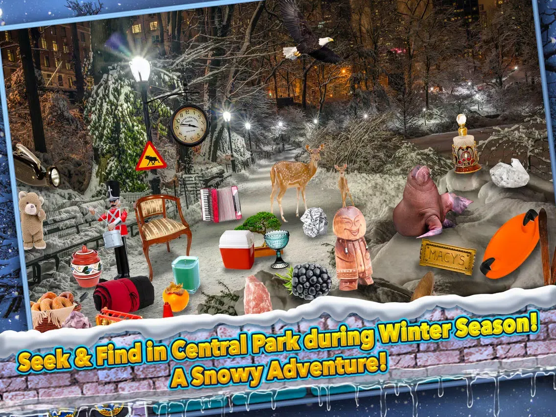 Central Park New York Winter - Hidden Object Time iPad 應用截圖