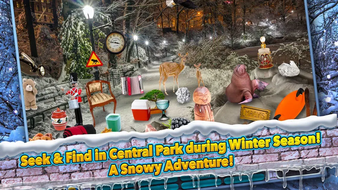 Central Park New York Winter - Hidden Object Time應用截圖