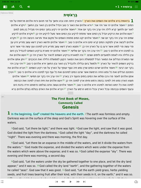 Hebrew English Arabic iPad  Screenshots