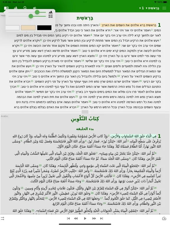 Hebrew English Arabic iPad  Screenshots