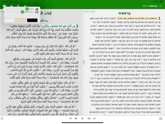 Hebrew English Arabic iPad  Screenshots