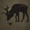 NY Hunting Rules & Hunting Regulations - PITA