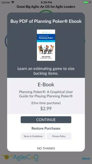Screenshot di Agile Leadership App
