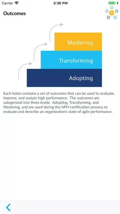 Screenshot di Agile Leadership App