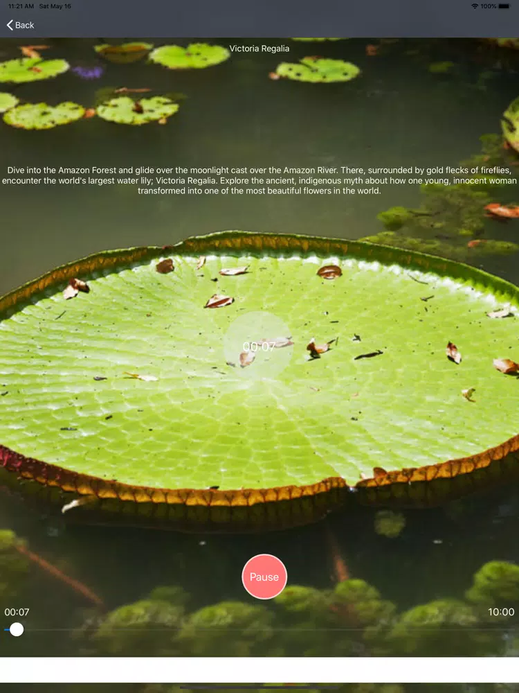 Ảnh chụp màn hình của Sleep Stories for adults iPad 