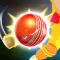 City Cricket Game 2021