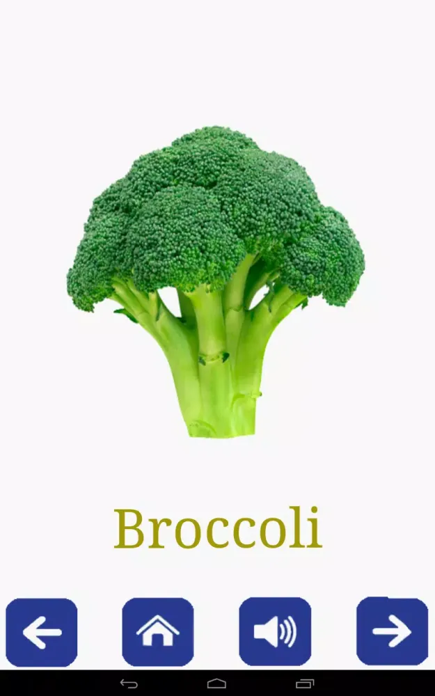 ภาพหน้าจอของ Fruits and Vegetables