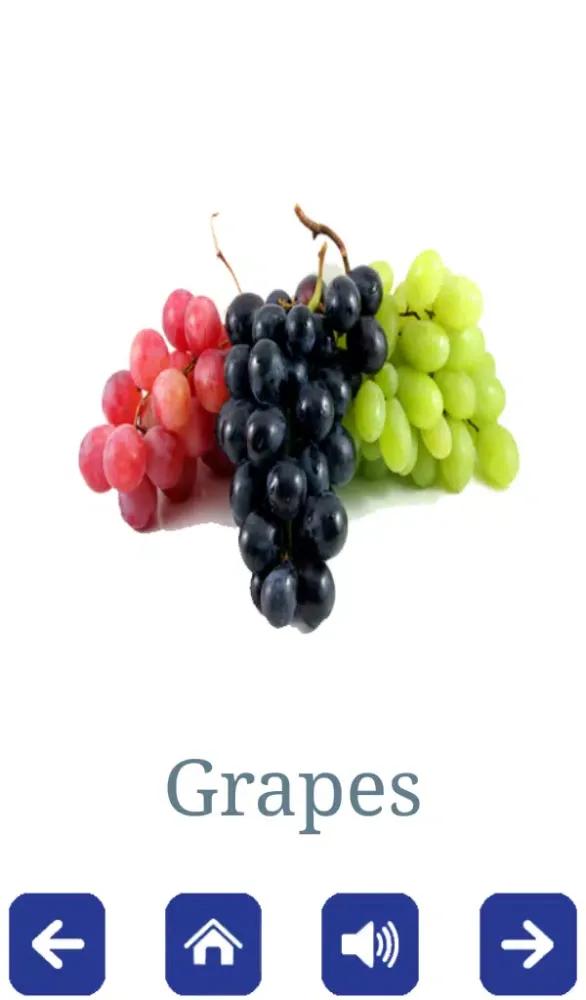 ภาพหน้าจอของ Fruits and Vegetables