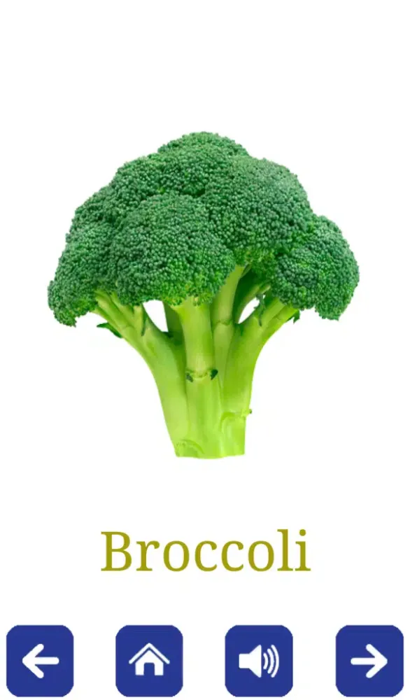 ภาพหน้าจอของ Fruits and Vegetables