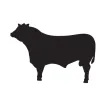 BEEF