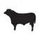 BEEF