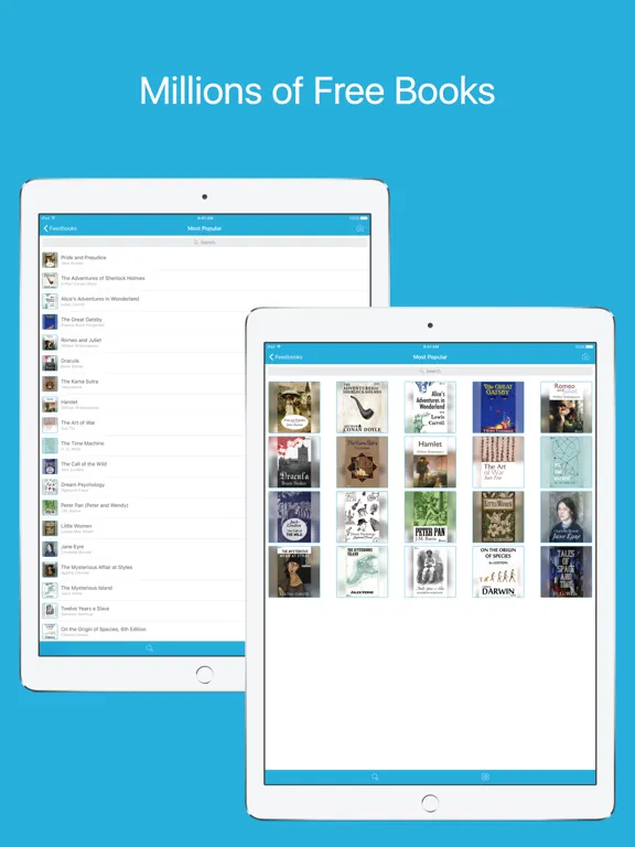 EPUB Reader - Reader for epub format iPad  Screenshots
