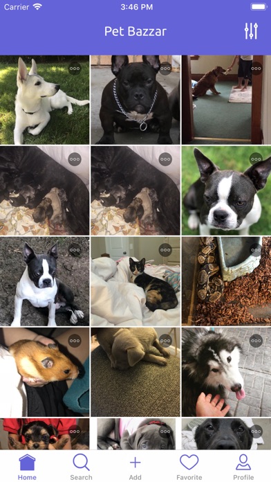 Pet Bazzar - Find Pets Online應用截圖