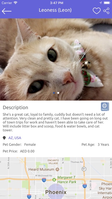 Pet Bazzar - Find Pets Online應用截圖
