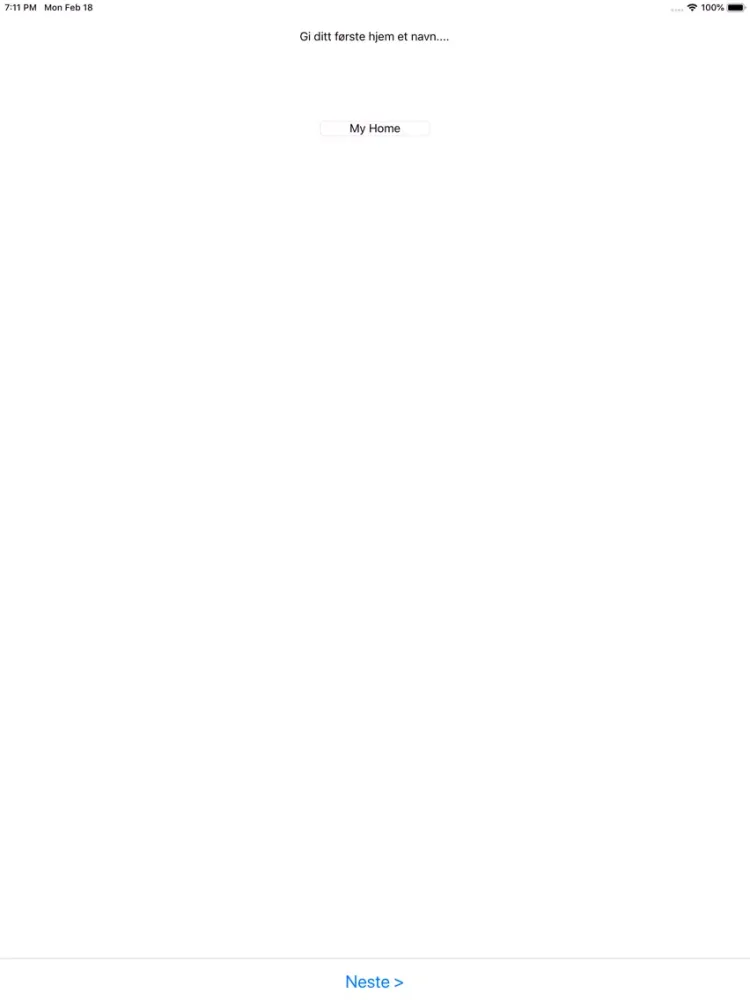 Screenshot di Netti iPad 