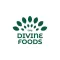 The Divine Foods