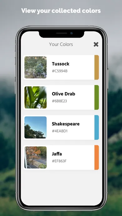 Ảnh chụp màn hình của Loomy: Live Color Picker