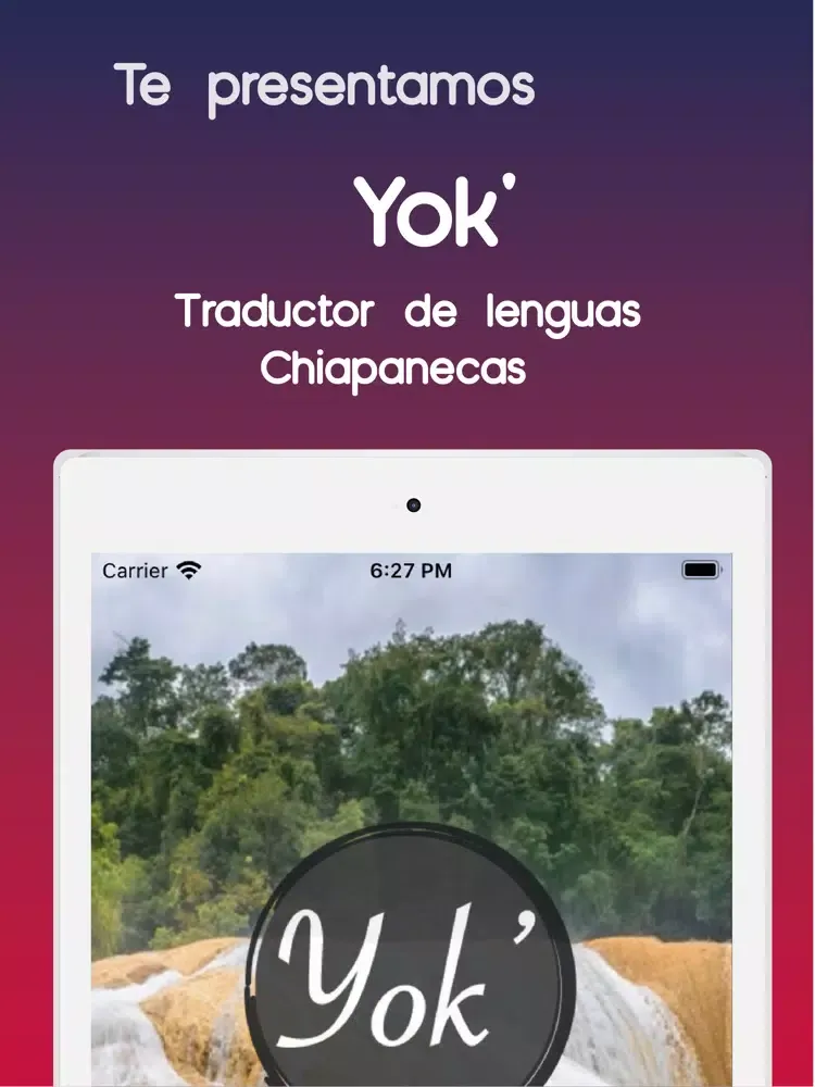 Traductor Lenguas Chiapanecas iPad  سکرین شاٹس