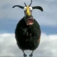 Flappy Annoying Sheep : Inverse World Flappy Annoying Sheep : Inverse World