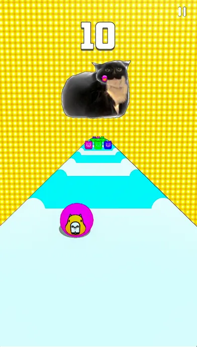 Capturas de tela do MAXWELL CAPYBARA SHIBA INU