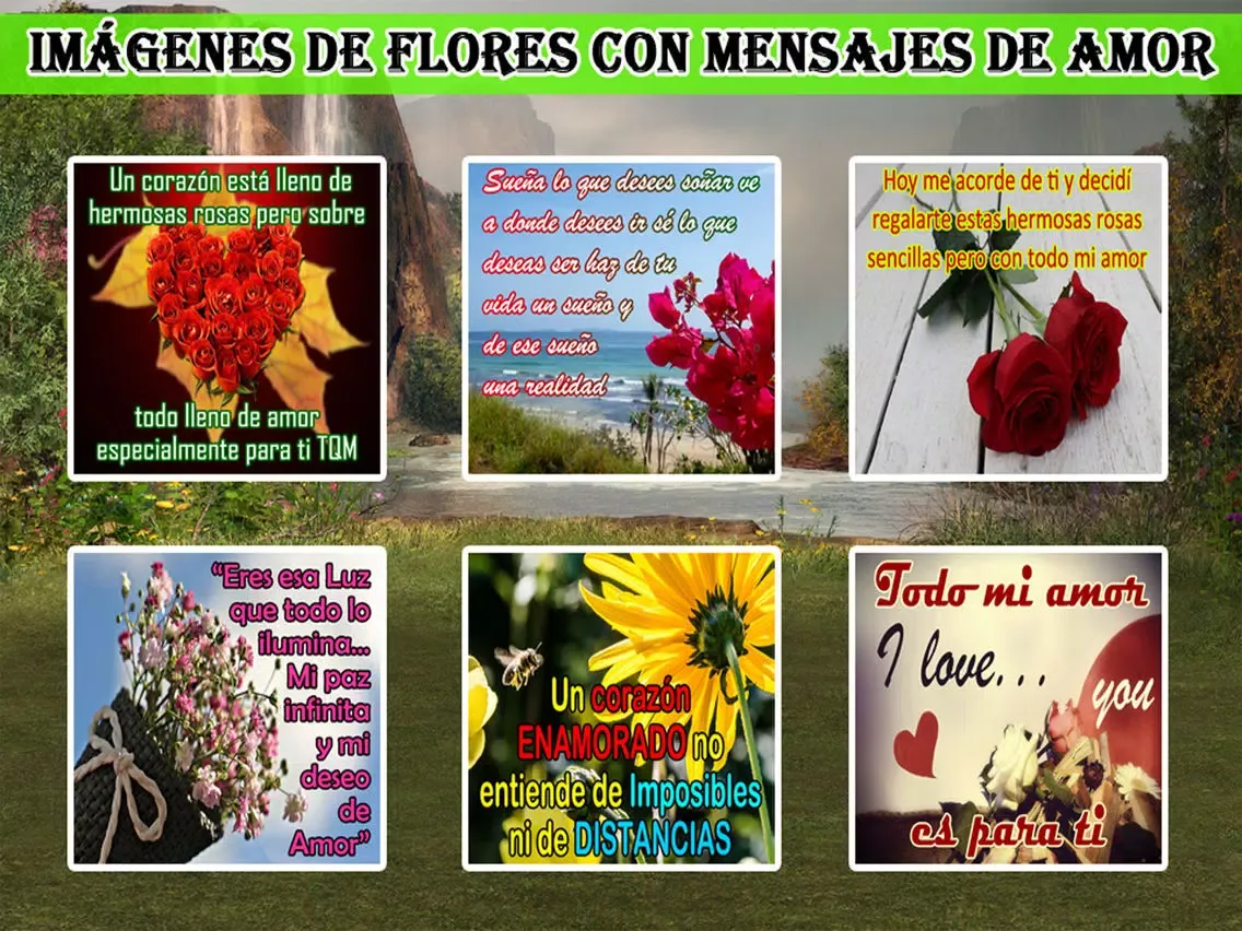 Flores De Amor iPad  স্ক্রিনশট