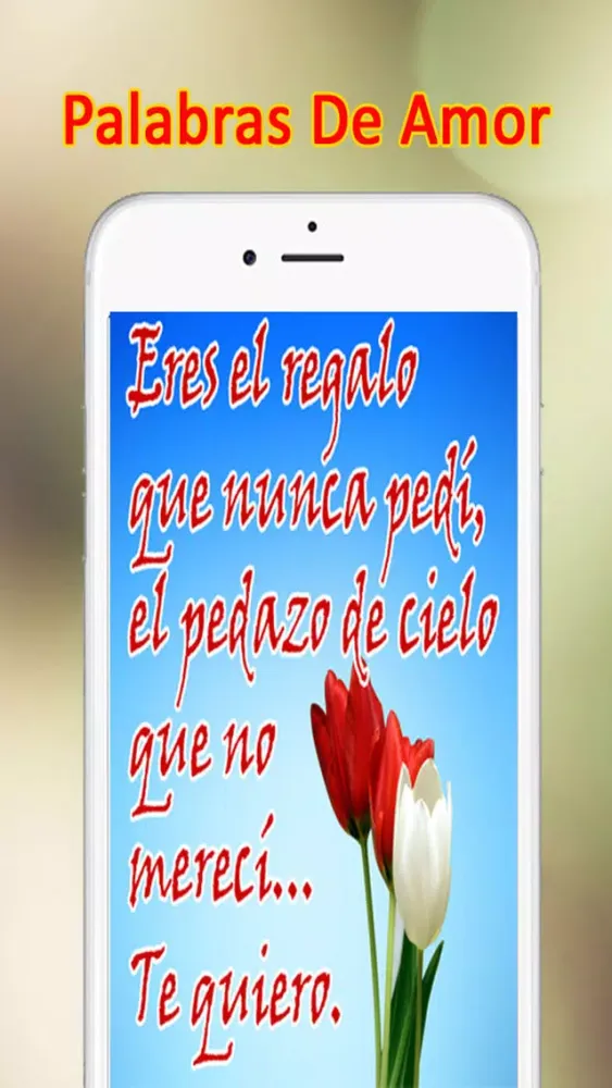 Скриншоты Palabras De Amor