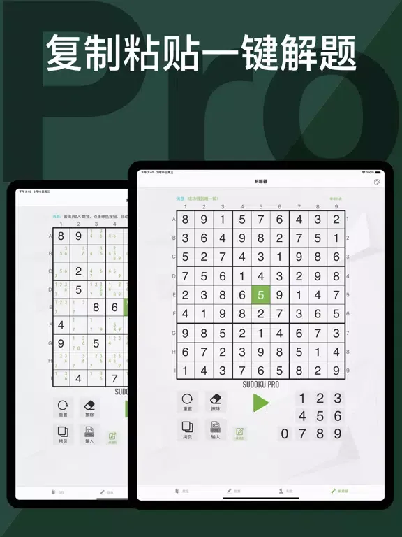 Captures d'écran de Sudoku - Pro Brain Puzzles iPad 