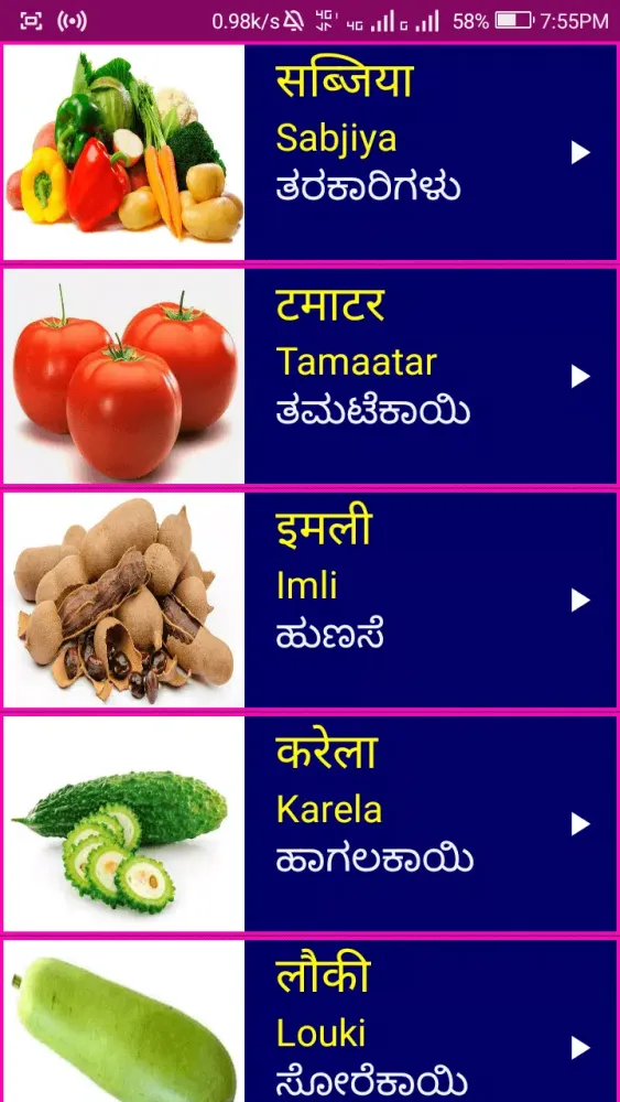 Zrzuty ekranu Learn Hindi from Kannada