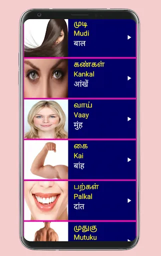 Learn Tamil From Hindi应用截图