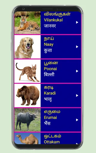 Learn Tamil From Hindi应用截图