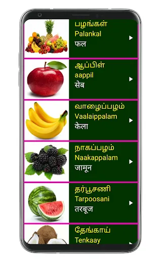 Learn Tamil From Hindi应用截图