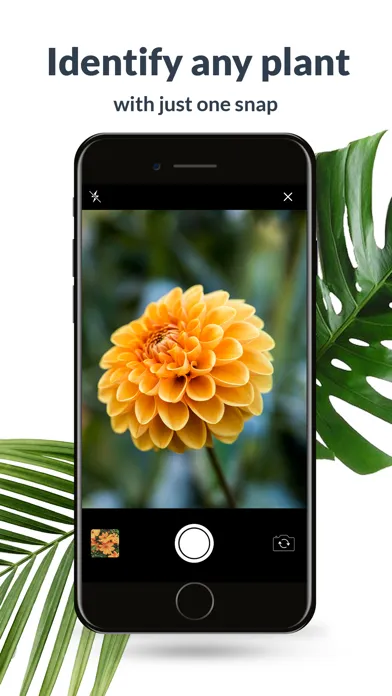 Plant Identification Lite Ekran Görüntüleri