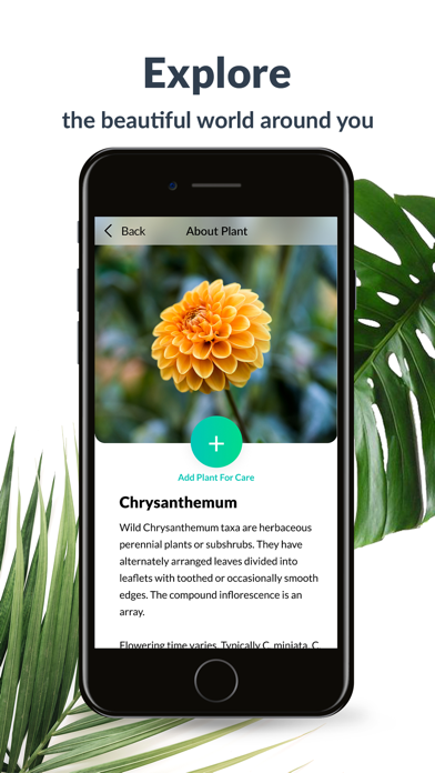 Tangkapan layar Plant Identification Lite